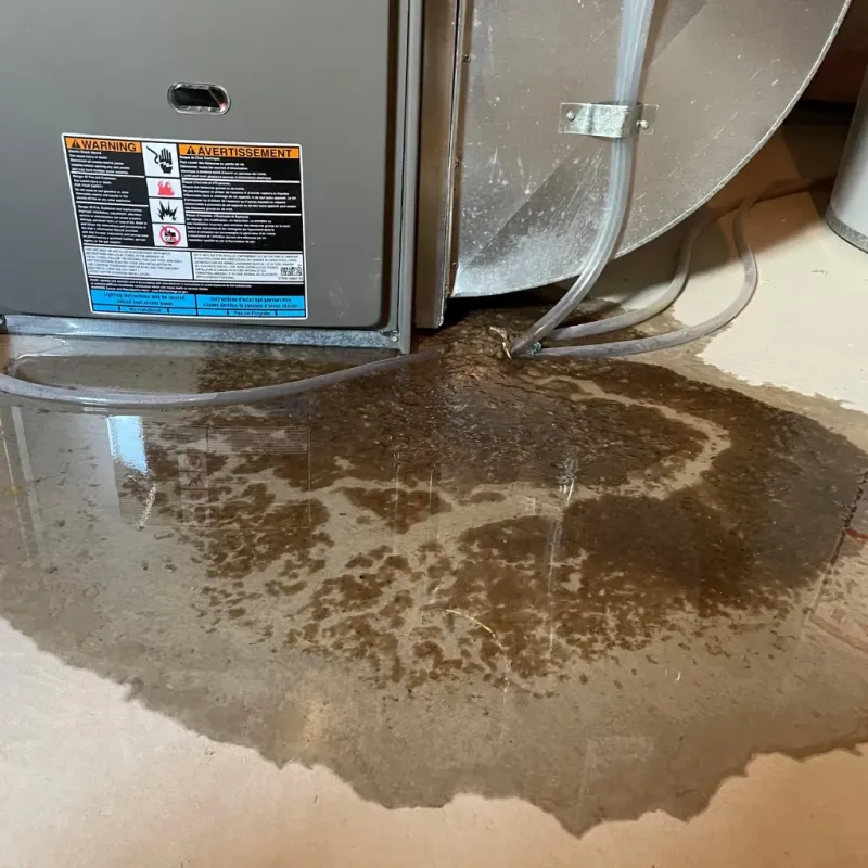 Appliance Leak Cleanup in Bayfield County, WI